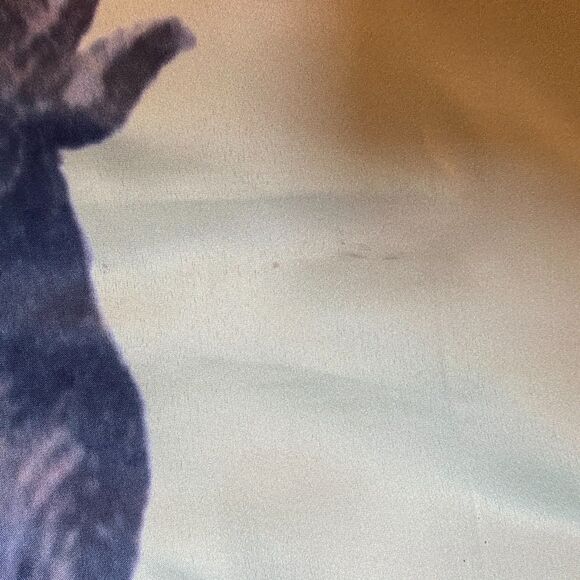 Krampus Flag Christmas Flag with Mythical Creature & Children - Picture 2 of 4